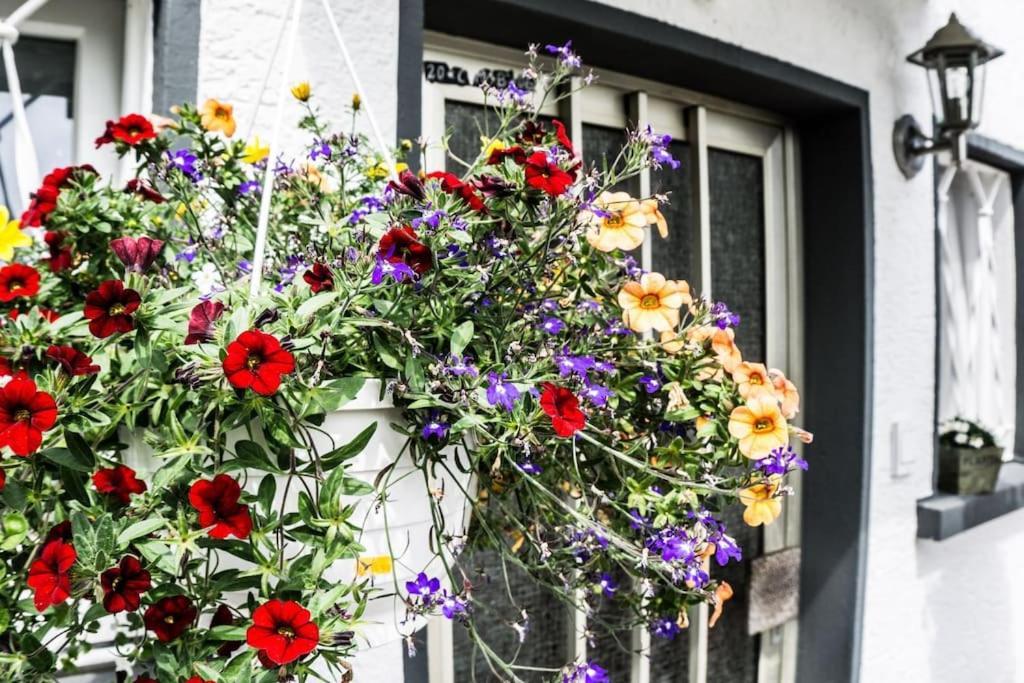 Schoenes Haus Mit Grossem Garten Seligenstadt Eksteriør bilde