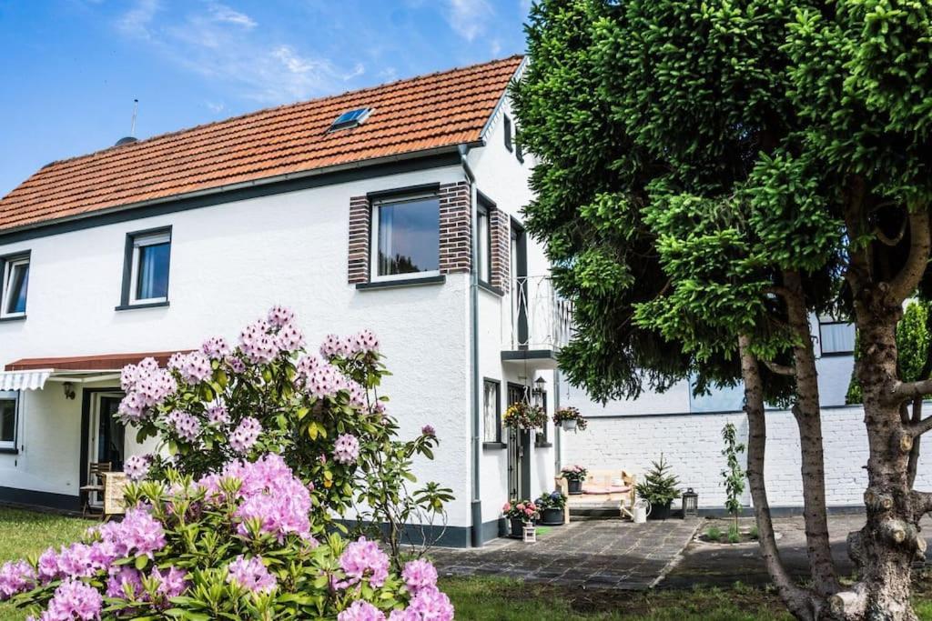 Schoenes Haus Mit Grossem Garten Seligenstadt Eksteriør bilde
