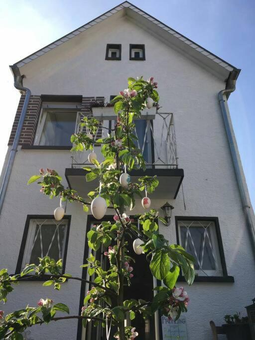 Schoenes Haus Mit Grossem Garten Seligenstadt Eksteriør bilde